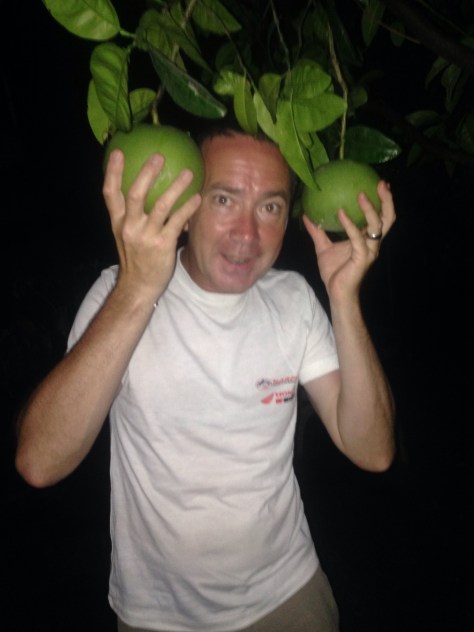 Although these looked like apples we were advised they were a type of lemon?