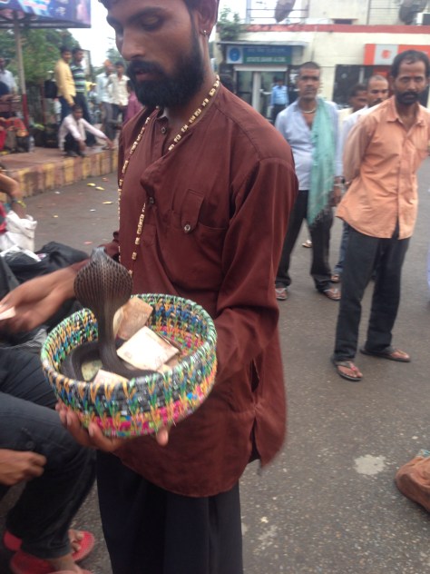 Anyone fancy a cobra?