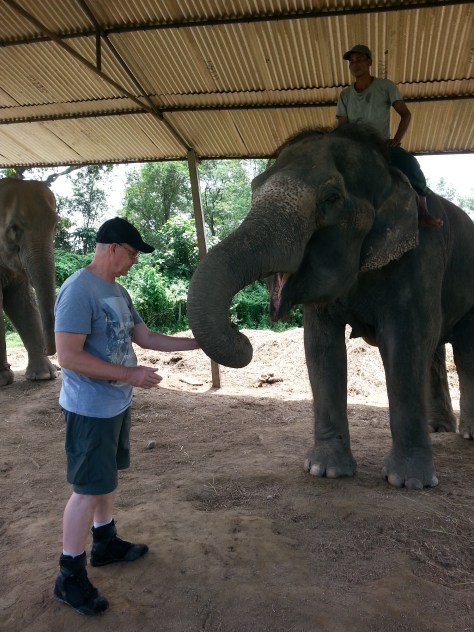 Steve getting to know the elephant